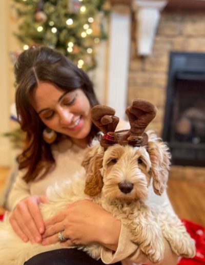 trapper with reindeer antlers australian labradoodle puppy